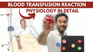 blood transfusion physiology  blood transfusion reaction physiology  hazard of blood transfusion [upl. by Adnocahs]