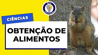 Ciências Obtenção de Alimentos  Brio Educação [upl. by Johannah217]