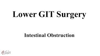 Intestinal Obstruction Surgery Complete Auditory Review by Pert Boo [upl. by Brittany]