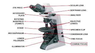 Polarizing Petrographic Microscope  Optical Mineralogy Part4  GeologyConceptscom [upl. by Neltiak]