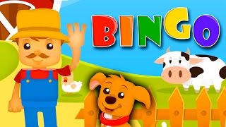 BINGO Nursery Rhyme Kids Songs Club Childrens Sing Songs B I N G O Was His Name O Dog Song Clapping [upl. by Mcclary]