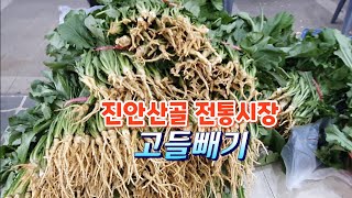 진안고원 전통시장배추열무고들빼기고추가격꾸지뽕열매사과 [upl. by Surdna]