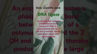 DNA ligase biology enzymes enzyme biochemistry biotechnology genetics shorts trending viral [upl. by Acimak]