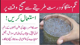 Tukham Malanga ke fayde  Tukh Malanga  Chia SeedsBasil Seeds Benefits in UrduHindi [upl. by Anadal]