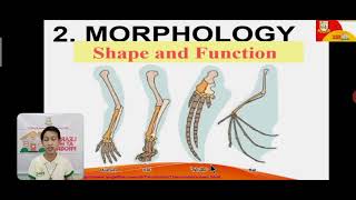 Classifying Organisms Based on Evolutionary Relationship EarthampLifeScienceGrade11 Discussion Video [upl. by Naig965]