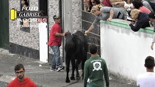 AS Melhores Touradas 2018 Parte 8 Ilha Terceira AÇORES [upl. by Federica]