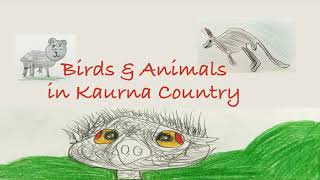 Kaurna with Tiyana  Birds amp Animals in Kaurna Country [upl. by Nahgen578]