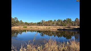 NEW LISTING 1524 Windy Wood Road Pelion SC 29123 [upl. by Gautious]