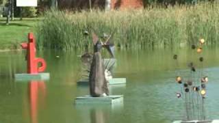 Flotan esculturas en las aguas de Laguna de Duero [upl. by Orazio]