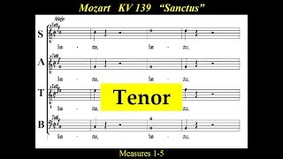 Mozart  KV139  4  Sanctus  Tenor [upl. by Oicneconi]