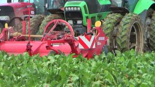 Démonstration arrachage des betteraves Grimme Maxtron 620 amp Rootster 604  beet harvest [upl. by Pebrook830]