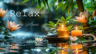 Relaxing Piano Music  Insomnia and Healing 🌿 Relaxing Music Sleep Music Meditation Nature Sound [upl. by Ahsaelat748]