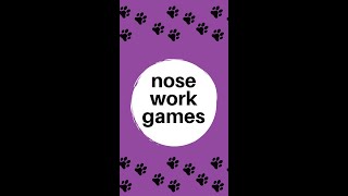 101 Things to Do With Your Pet Nose Work Games [upl. by Alleunamme]