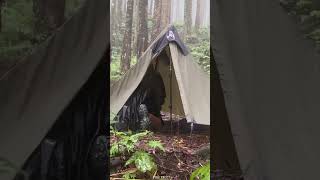 HEAVY RAIN IN TINY WARM TENT shorts [upl. by Sansone]