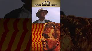 What Weve Got Here is Failure to Communicate • Cool Hand Luke 1967 [upl. by Rheims]