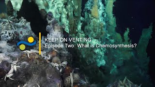 Keep On Venting  Ep 2  What is Chemosynthesis [upl. by Meyer]