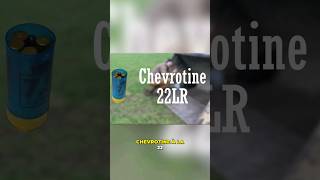 De la chevrotine avec de la 22lr [upl. by Letta]