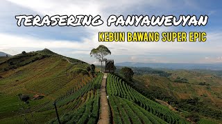 KEBUN BAWANG NAN SUPER EPIC  TERASERING PANYAWEUYAN MAJALENGKA [upl. by Sweyn596]