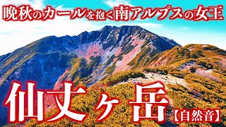 【登山】晩秋の仙丈ヶ岳｜雄大なカールと南アルプスの峰々と富士山を望む絶景の頂自然音＜Japan in 4K／Nature Sound＞ [upl. by Kenleigh]