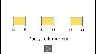 Pansystolic murmur [upl. by Ko]