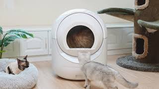 Advwin Self Cleaning Smart Cat Litter Box [upl. by Ilyssa180]