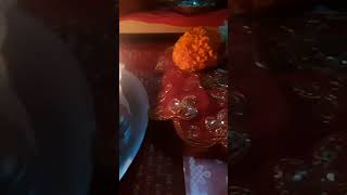 Vasubaras Puja vasubaras puja like subscribe share shortvideo shorts comment [upl. by Lanam]