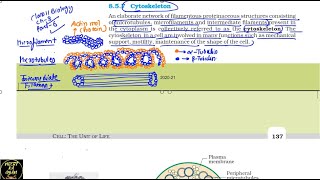 Class 11th Biology Cell the Unit of Life  NEET Biology  NCERT line by line explanation [upl. by Stephani463]