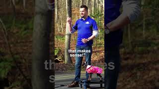 ProTip How Leash Pressure Work  Dog Training Basics [upl. by Hughes902]