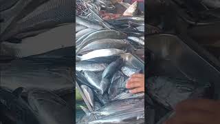 fish market Talipapa asmr satisfying shortvideo [upl. by Intyrb574]