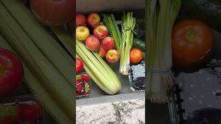 Quick produce restock asmr restocking asmrsounds restock momlife kitchenorganization vlog [upl. by Haem470]