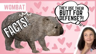 WOMBAT  Animal Fun Facts  For Kids [upl. by Solokin]