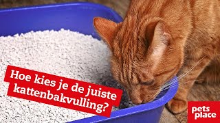 Wat is de beste kattenbakvulling om de kattenbak te verschonen [upl. by Cesaro]