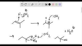 Write equations for the hydration of 2 methyl 2 butene and 2 pentene What is the function of the su [upl. by Frederigo]