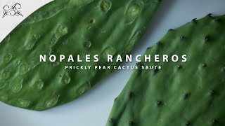 Delicious Easy Nopales Recipe Nopales Rancheros [upl. by Crenshaw]