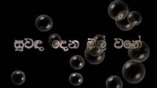 Suwada Dena Mal WaneRookantha Goonathilaka [upl. by Dreher383]