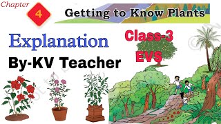 PART1 Getting to know Plants Class3 EVS TWAU New NCERT Chapter4 हिंदी Explanation KV Teacher [upl. by Sharla]