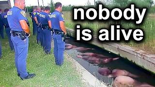 Shocking Moments Caught On Police Bodycam 3 [upl. by Maynord]