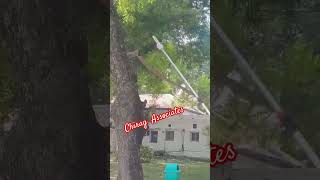 HT75 Tree Pruner Demo [upl. by Valsimot342]