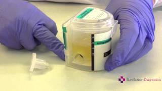 How to use an instant urine dip drug test kit [upl. by Vander688]