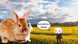 o jogo mais feliz2 vai tomar no cu urso tiktoker [upl. by Nodlew]