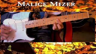 Malice Mizer  Aegen Guitar Cover [upl. by Anirav]