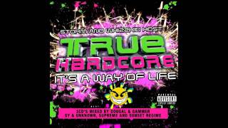 True Hardcore CD 2 Dougal amp Gammer [upl. by Anitsud]