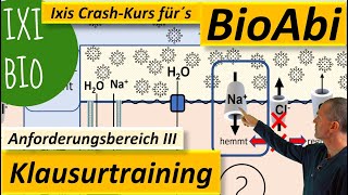 AFB III Klausurtraining 2a Proteinbiosynthese Anwendung – Mukoviszidose – Systemebenen verstehen NEU [upl. by Ahsahs]