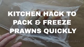 Kitchen Hacks  How to Freeze and Store Prawns Quickly [upl. by Eeima966]