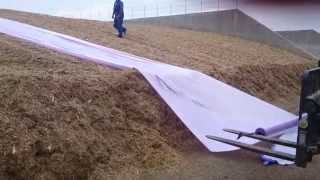 Biogas Plant Management Crew  Silage clamp covering [upl. by Ahsilat]