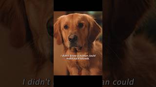 The puppy hadn’t thought of his mistress making that noiseshorts viralvideo shortsvideo [upl. by Marozik]