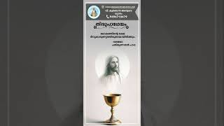 തിരുപാഥേയം emmausretreatcentremallappally syromalabarcatholicchurch jesusstatus thirupatheyam [upl. by Epillihp]