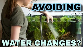 Do Aquariums Need Water Changes Filterless Deep Substrate Planted Tanks amp When to Change Water [upl. by Lorant]