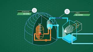 Argentina Nuclear  NUCLEOELÉCTRICA ARGENTINA SA  Minem 2017 [upl. by Craggy]