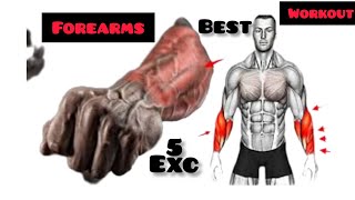 5 BEST EXCERCISES FOR BIGGER FOREARMS [upl. by Philis498]